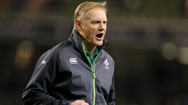 Joe Schmidt will fly to the US on Wednesday