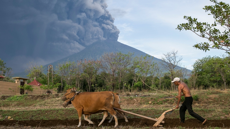 A Balinese farmer works on his farm as the Mount Agung volcano spews volcanic ash in Karangasem, Bali, Indonesia