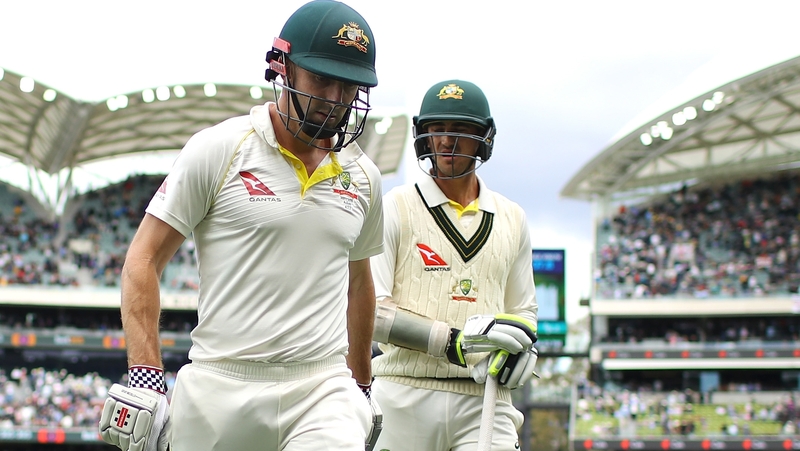 Mitchell Starc and Shaun Marsh