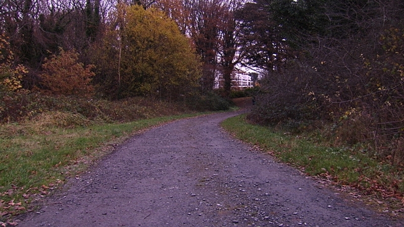 The attack happened on a path between Merrion Woods and Seamount Apartments in Blackrock, Co Dublin