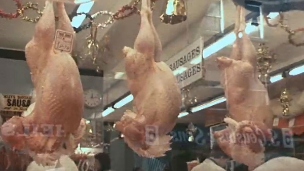 Talking turkey at Christmas - 1977