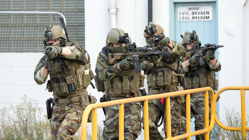 Members of the Defence Forces involved in a training exercise last December