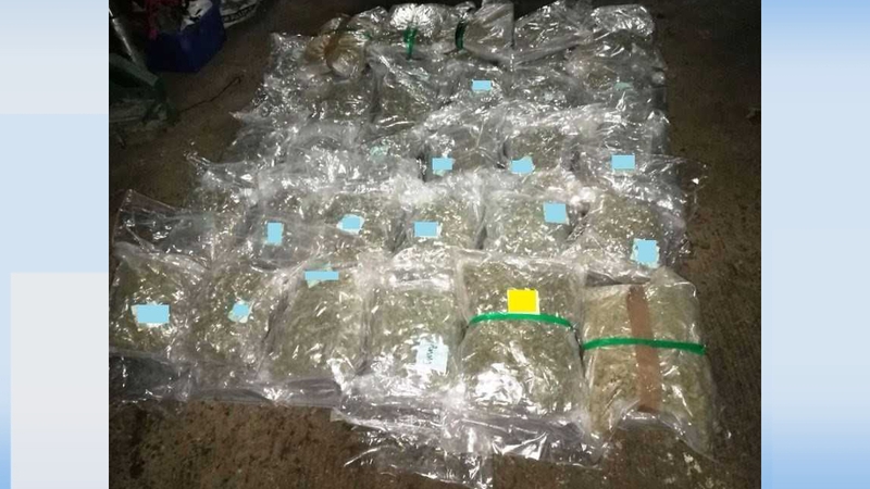 Approximately €1.6 million worth of cannabis herb was recovered at an industrial unit in Newcastle, Co Dublin