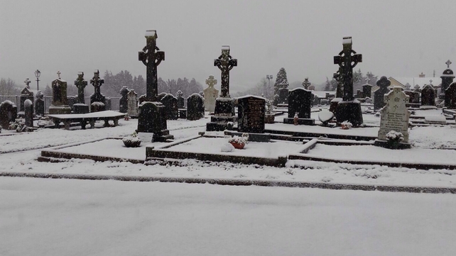 Coon in Co Kilkenny (Pic: Noreen Moloney)