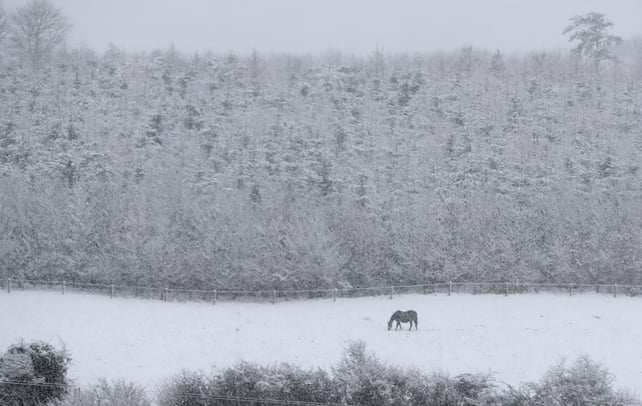 Snow covers the landscape in Moneygall, Co Offaly