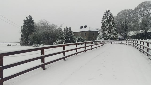 Stradbally in Co Laois earlier today