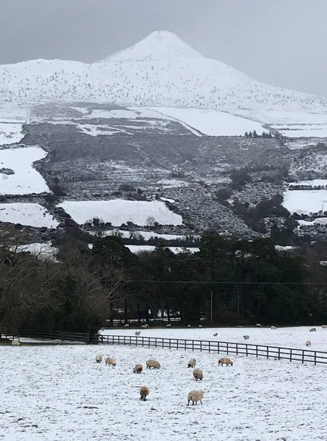 The Sugarloaf Mountain in Co Wicklow