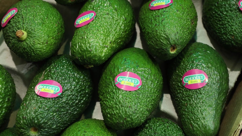 More patients are presenting at hospitals with hand injuries caused by cutting an avocado