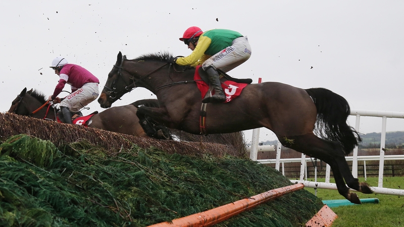 Sizing John missed Cheltenham due to injury