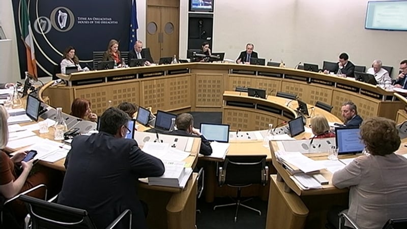 The 21-member cross-party committee recommended the repeal of the Eighth Amendment