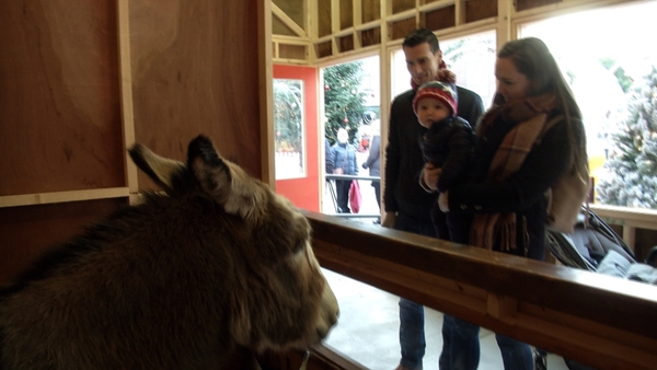 Day 19 - The Live Animal Crib, Mansion House