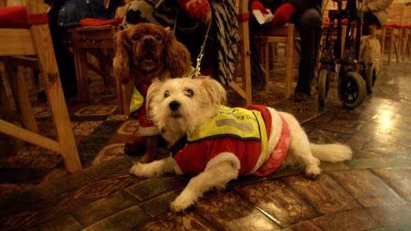 Day 23: A Dog's Christmas