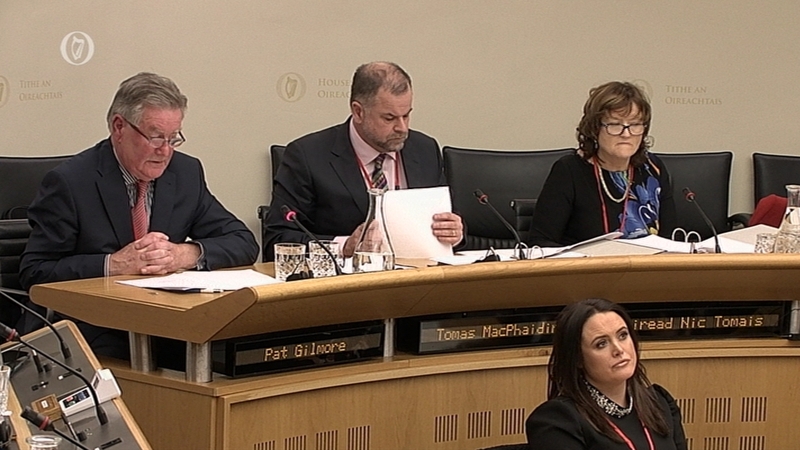 The committee heard that the lack of availability of additional school-related services through Irish generally, particularly with regard to the Islands, cause additional hardship and disadvantage