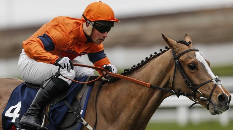 Joe Colliver and Sam Spinner clear the last to win The JLT Reve De Sivola Long Walk Hurdle Race at Ascot