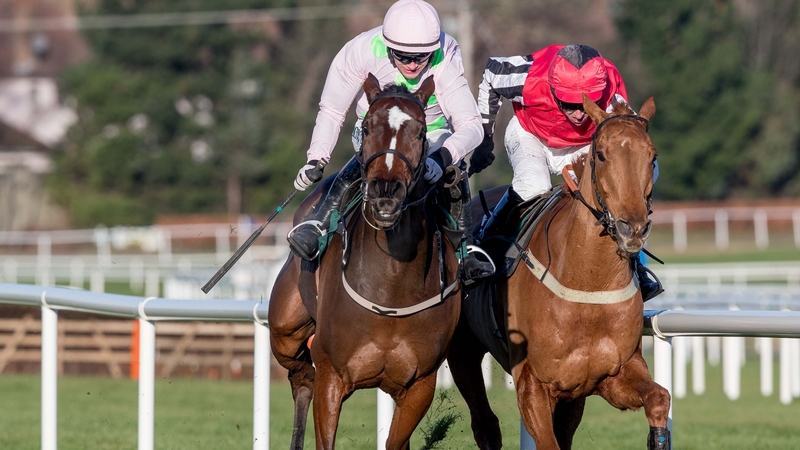 Simply Ned will go in the Chase at Leopardstown on Friday