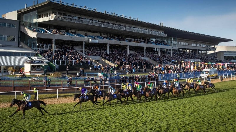 Spider Web won the opening race of the day - The Adare Manor Opportunity Handicap Steeplechase