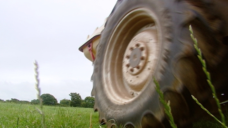 Michael Creed was speaking at Irish Farmers' Association AGM
