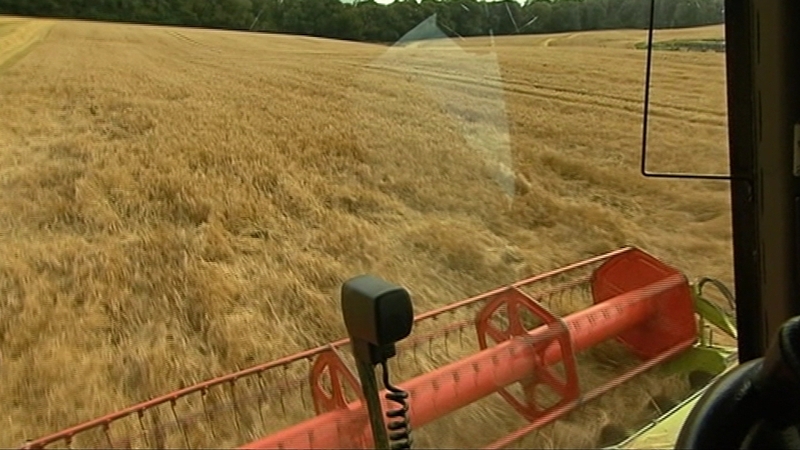 The increase reflects higher seed, crop protection and fertiliser volumes and prices