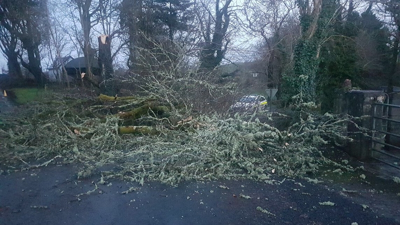 A downed tree in Ennistymon (Pic: @GardaTraffic