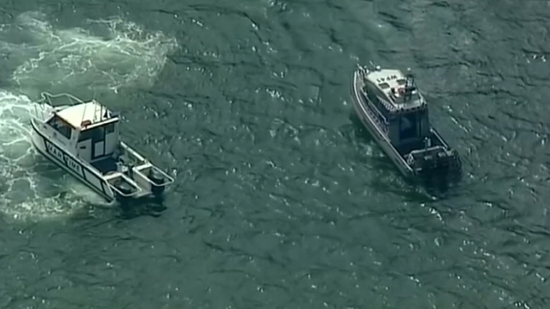 The aircraft was operated by Sydney Seaplanes, a major tourism operator in the city