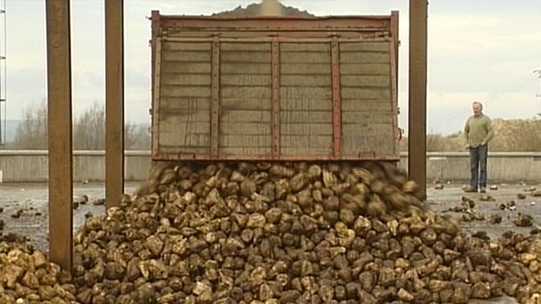 Farmers urged to restart beet growing