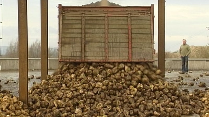 Farmers urged to restart beet growing