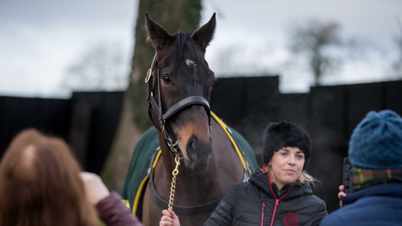 Sizing John will head to Prestbury Park a fresh horse