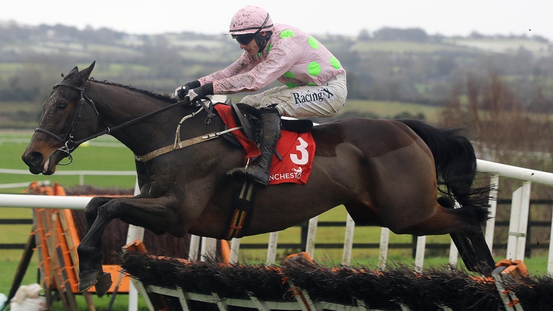 Getabird was a leading contender for last season's Champion Bumper until injury ruled him