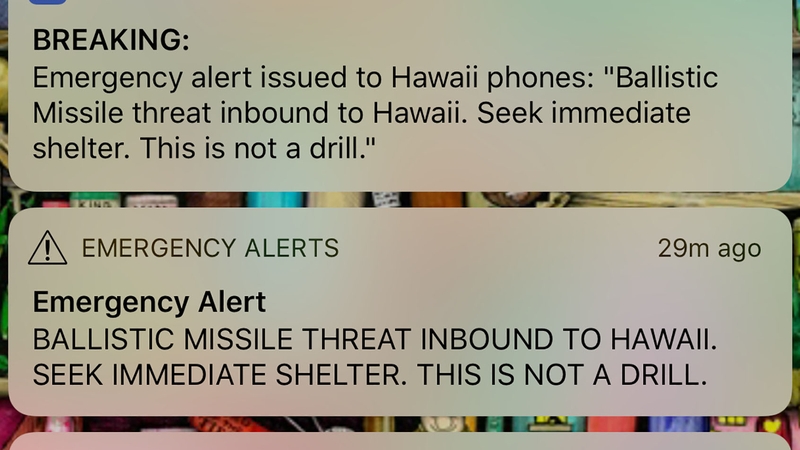 The individual who admitted to mistakenly issuing the alert has been fired