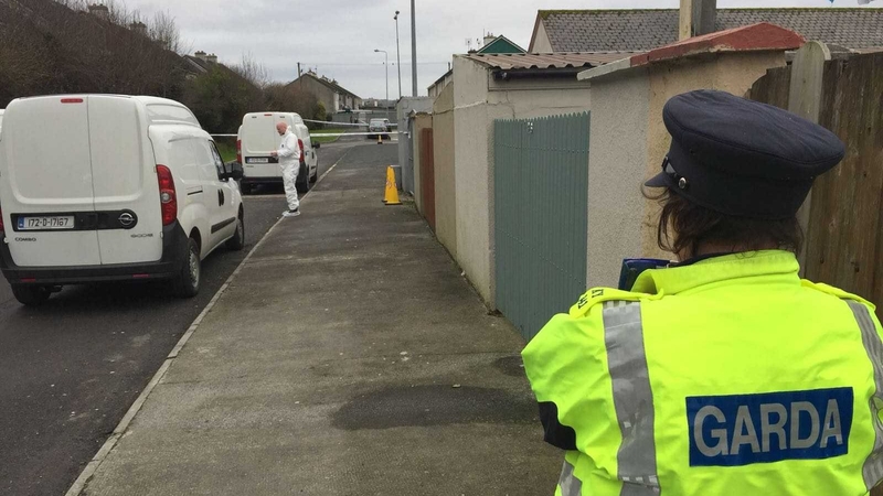Gardaí are appealing for witnesses to contact them