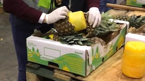 The cocaine was covered in yellow wax to imitate the fruit