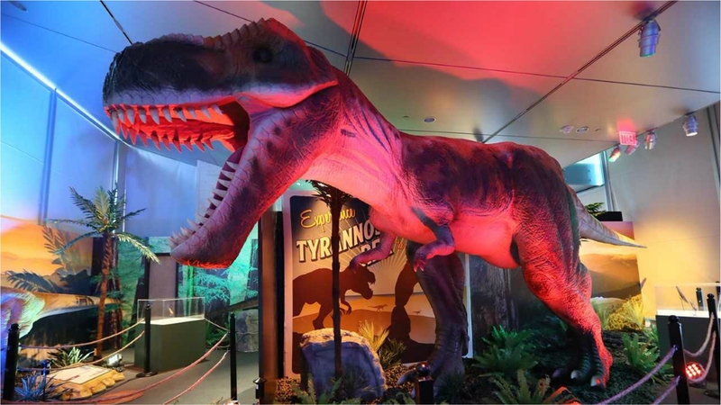 11 Things to do in Ireland this weekend