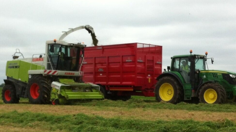 The Govt is working to secure funding under the EU's €5.4bn Brexit Adjustment Fund