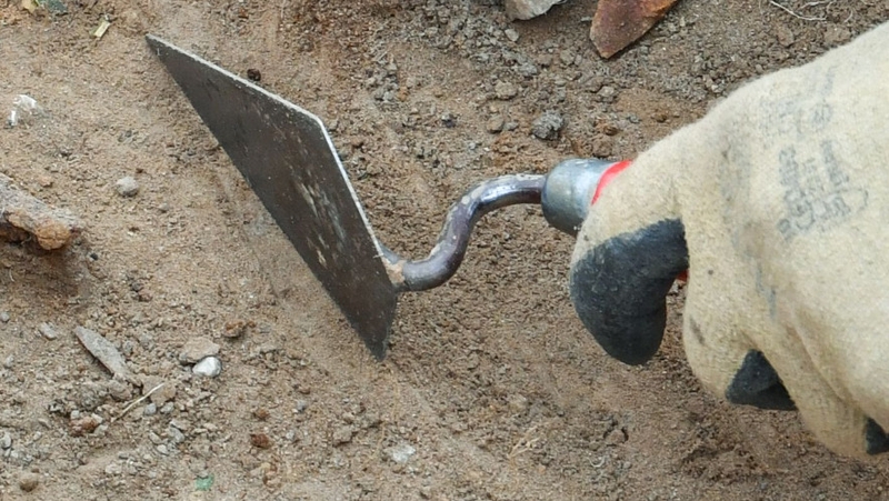Footprint was found close to a house (file image)