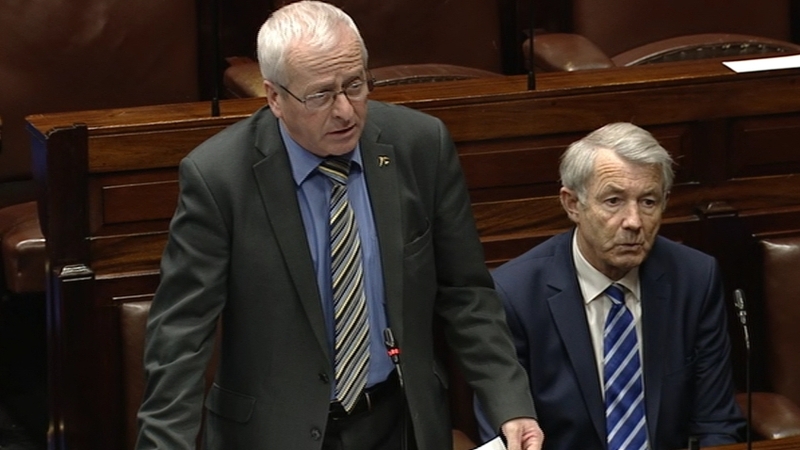 Tipperary TD Mattie McGrath also said the Government should call an election (file image)