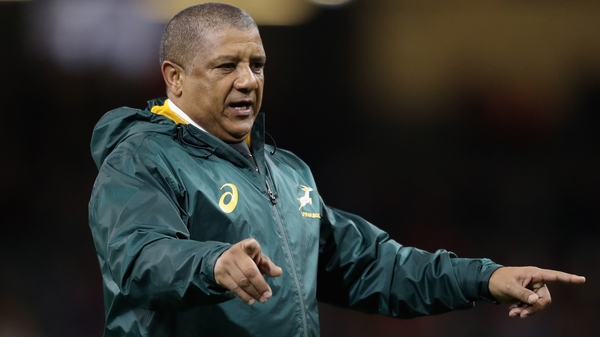 'I would have to face the indignity of reporting to Rassie (Erasmus)'