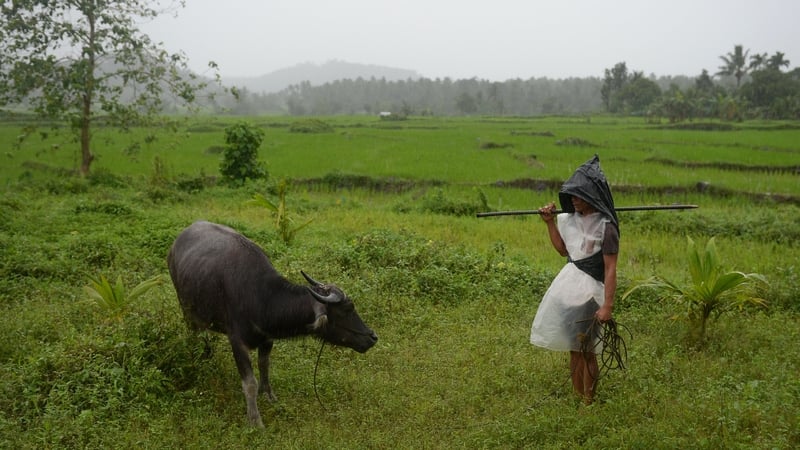 Jay Balindang is one of the farmers continuing to work in the danger zone