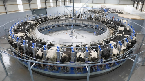 A rise in dairy herd numbers is the most significant driver of the increase in agriculture emissions