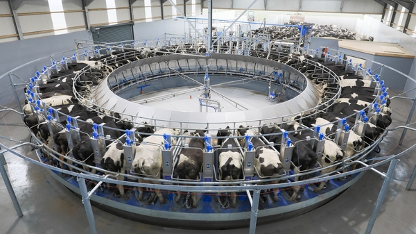 Dairymaster is recruiting 40 people at its HQ in Kerry