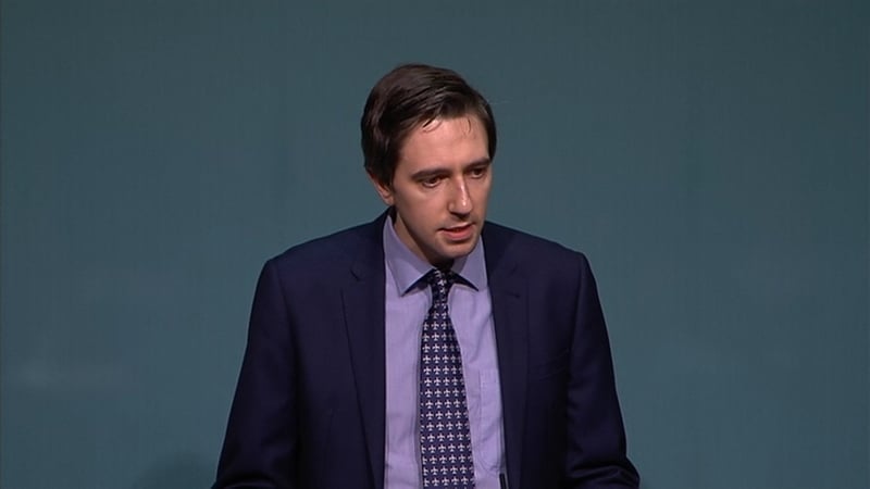 Minister for Health Simon Harris said many of Fine Gael's ministers, TDs and councillors would be supporting the campaign