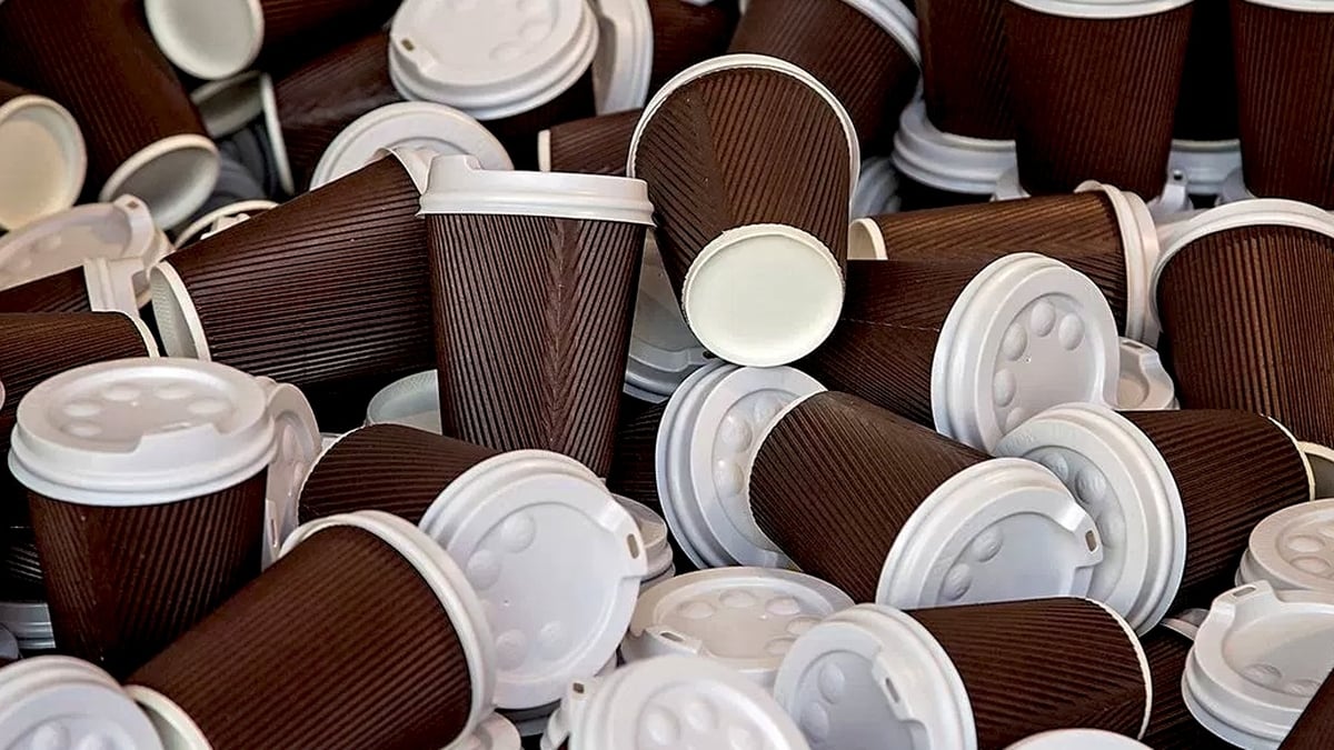 Coffee cup levy - Evelyn O'Rourke report