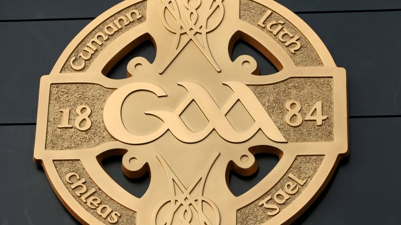 The rearranged encounter between the teams at Kilcoole - the original fixture had been abandoned after a player received a head injury - descended into chaos when an off-pitch altercation between two supporters resulted in a number of players jumping a fe