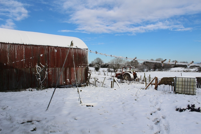 Runner Up: Orla Ni Cheallaigh, Killawalla, near Westport, Co. Mayo