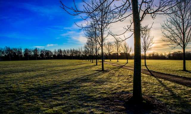 Runner Up: Philip Grehan, St Catherine's Park, Leixlip, Co. Kildare