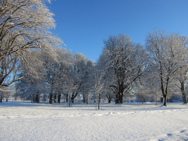 Runner Up: Carol O' Dwyer, Phoenix Park, Dublin