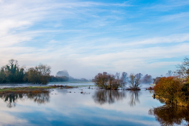Runner Up: Chris Dykes, Bru na Boinne, Co. Meath