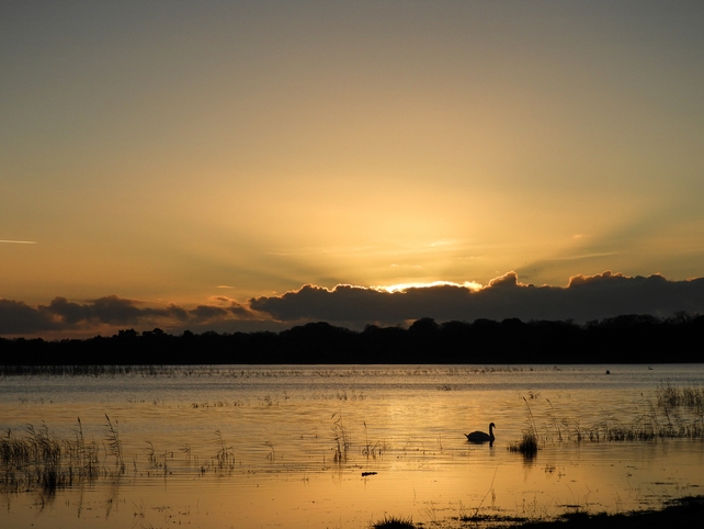 Finalist: Catherine Power, Finn Lough, Co. Clare
