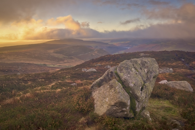 Finalist: Denis Grehan, Lugalla, Co. Wicklow