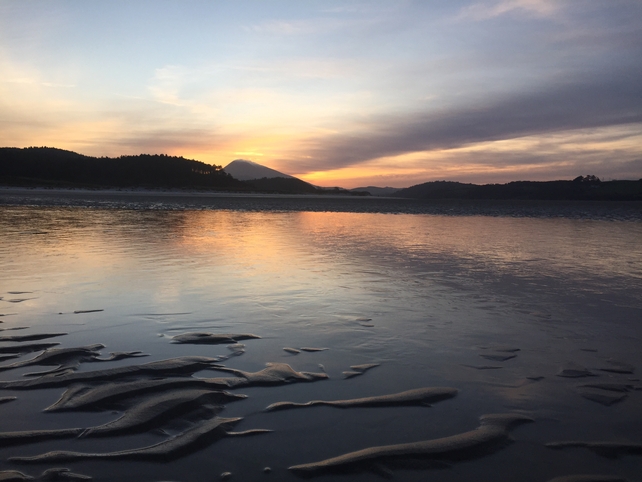 Finalist: David Farrelly, Ards Forest Park, Co. Donegal