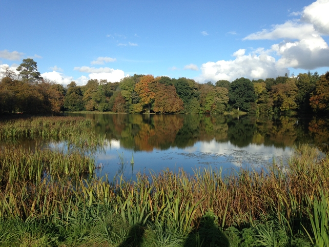 Finalist: Loreto Flanagan, Drewstown House, Athboy, Co. Meath